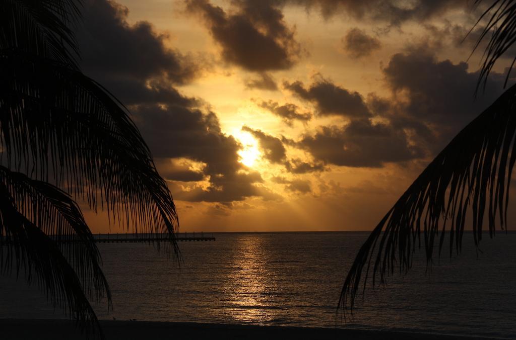 Skyline Suite Playa del Carmen Rum bild
